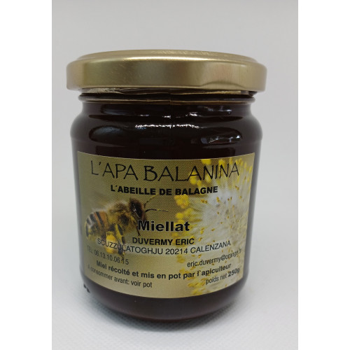 Miel corse - miellat - L'Apa Balanina