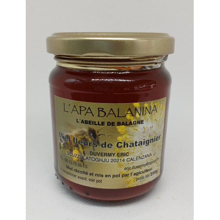 Miel de Châtaignier Corse - petit producteur à Calenzana - Rucher de l'Apa Balanina