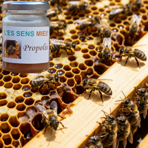 miel-huiles essentielles-propolis-antibiotique naturel-cicatrisant
