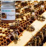 miel-huiles essentielles-propolis-antibiotique naturel-cicatrisant