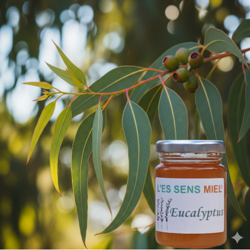 miel-huiles essentielles-mal de gorge