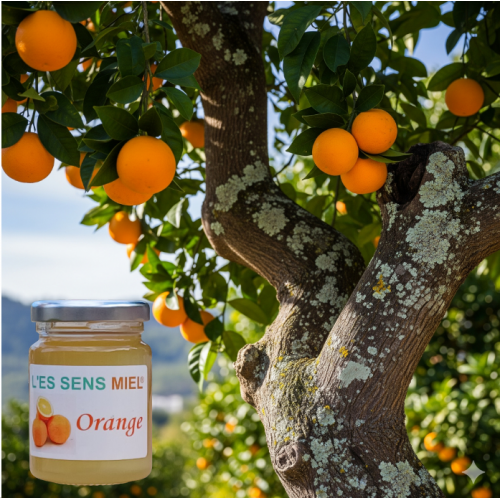miel-huiles essentielles-stress