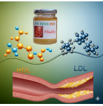 Aromiel L'es Sens Miel® Fludity, cholestérol et apithérapie