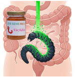 Aromiel L'es Sens Miel® Veradieu, pour vermifuger - cure annuelle