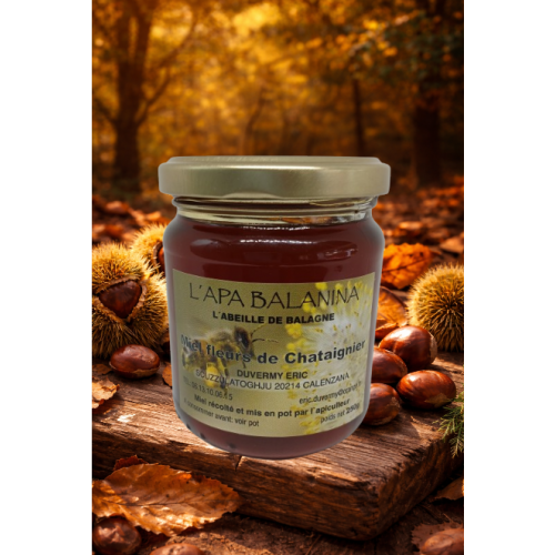 Le miel de châtaignier corse : un nectar authentique et raffiné