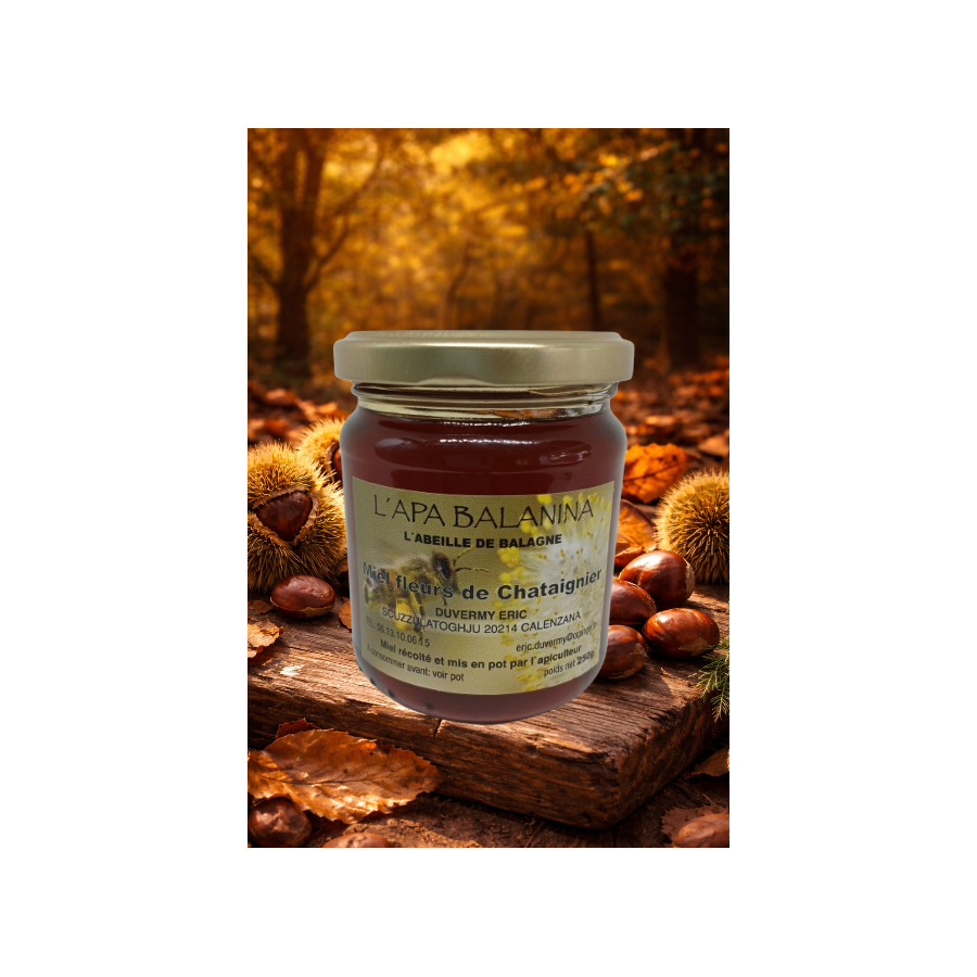Le miel de châtaignier corse : un nectar authentique et raffiné