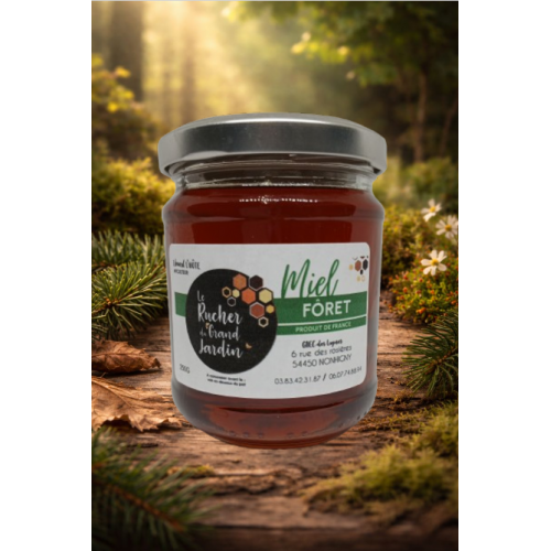 Découvrez le miel de forêt, un trésor gourmand aux saveurs intenses