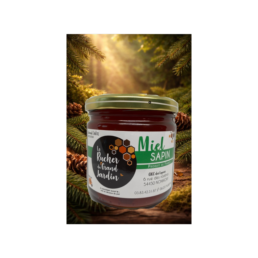 Miel de sapin de Lorraine : un nectar puissant et authentique
