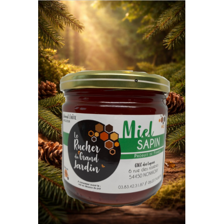 Miel de sapin de Lorraine : un nectar puissant et authentique