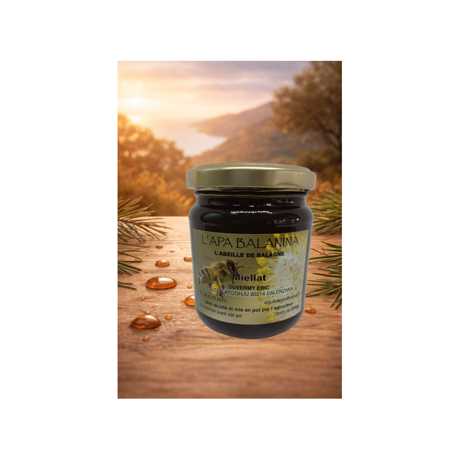 Miel de miellat corse : saveur intense et nature préservée