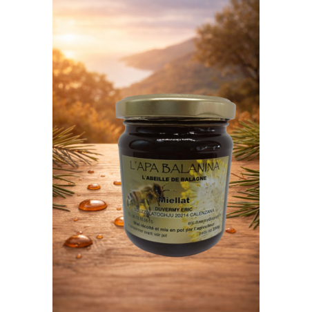 Miel de miellat corse : saveur intense et nature préservée